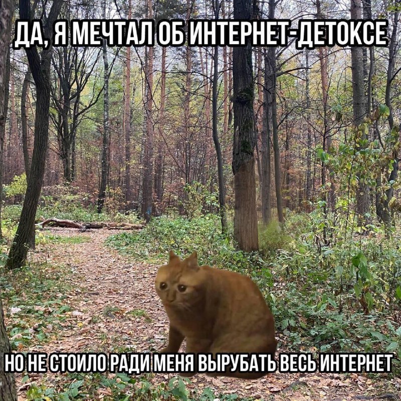 Утренняя подборочка