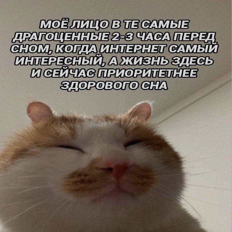 Ночная подборочка
Спать, режим