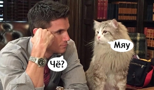 Ему точно не показалось