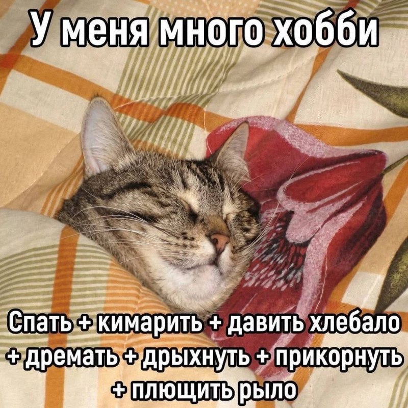 Утренняя подборочка