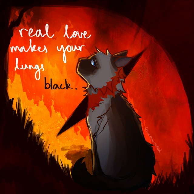 «Настоящая любовь обжигает лёгкие до черна»
Саша
© 4moo...