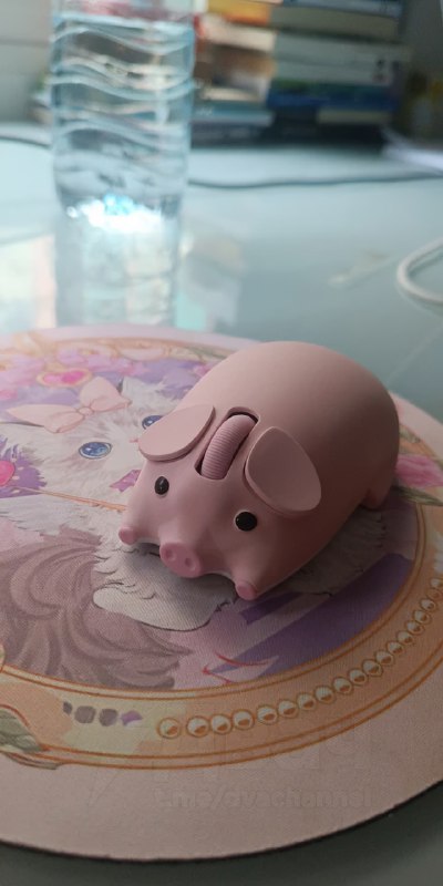 На российские маркетплейсы завезли беспроводную свиномышь
Цена имбы — 1400 рублей.
Мам купи