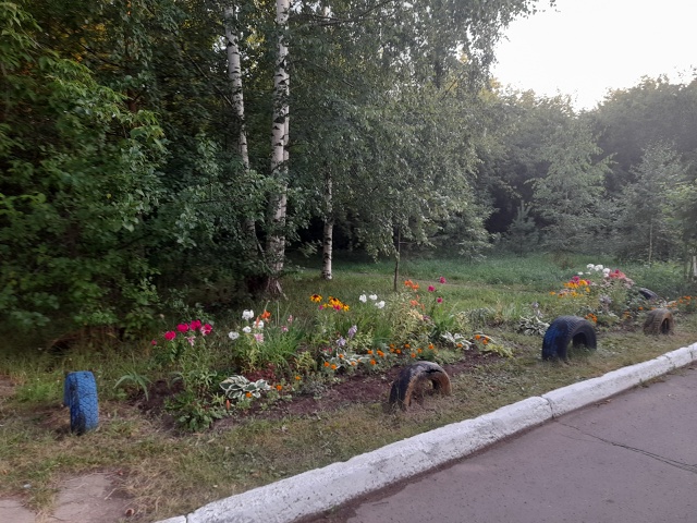 Прекрасный вечерний вид для глаз!!!⚘️🌼🌸🌷