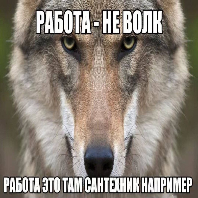 Ночная подборочка
Выходные, не спим