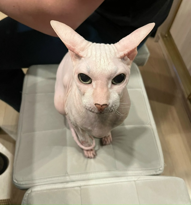 Филипп Сергеевич Э. В детстве был просто Феликсом, Феле...