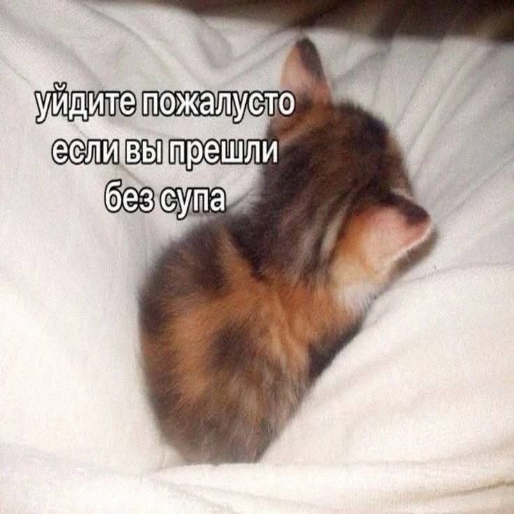 Утренняя подборочка