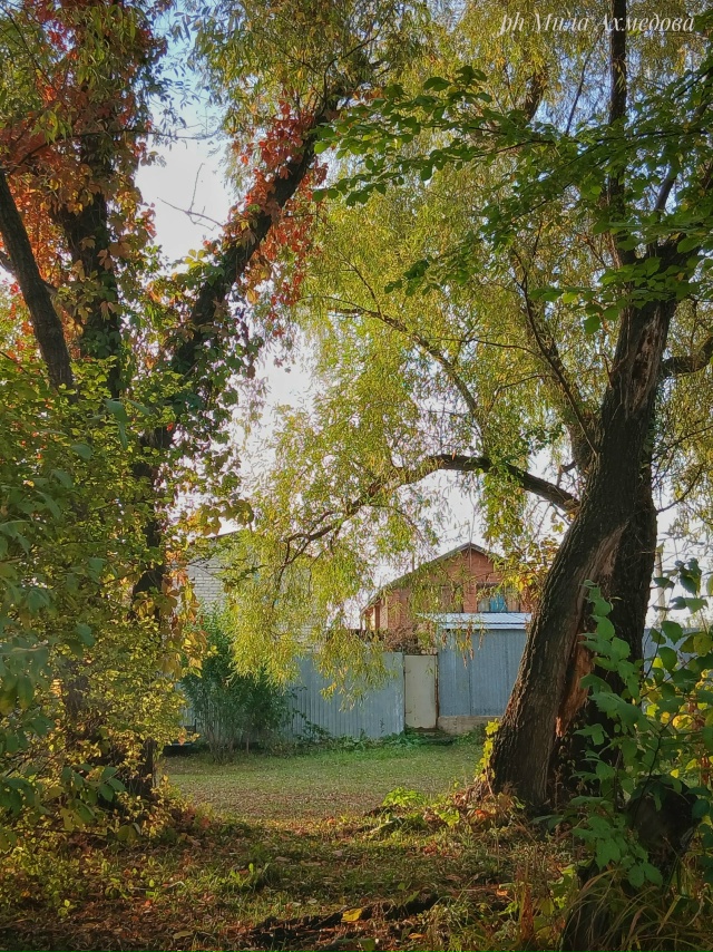 Наш Самарский край осенью - это настоящее волшебство...