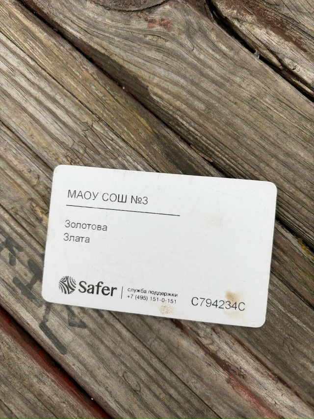 Пропуск на детской площадке возле ДВВС