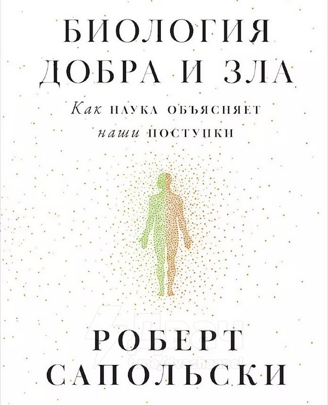 В Сети собрали 20 лучших книг, которые помогут перепрошить мозг и изменить мышление
Эта подборка сп