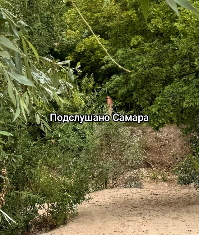 Пляж на советской армии
Извращенец ходит в кустах и др...