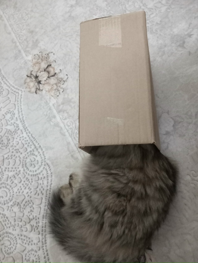 Хочу взять ипотеку на эту квартиру....