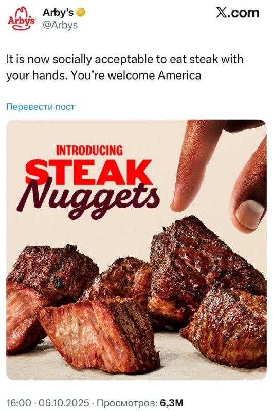 Зумеры изобрели ШАШЛЫК — это не шутка: американская сеть Arby’s порезала мясо, пожарила на огне и на
