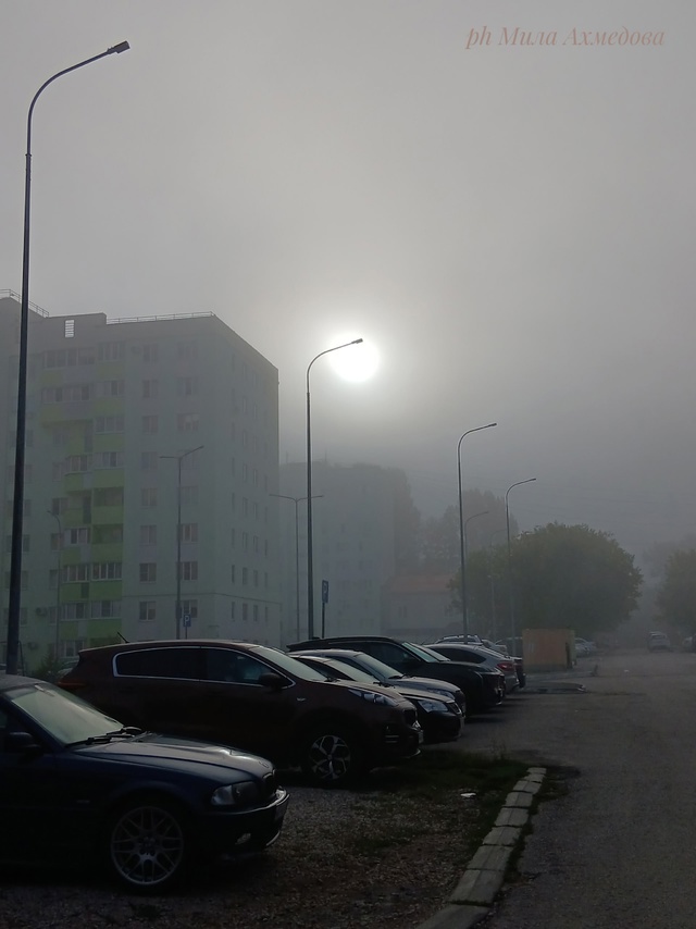 Утро туманное...🌫Всем хорошего дня и отличного настро?...