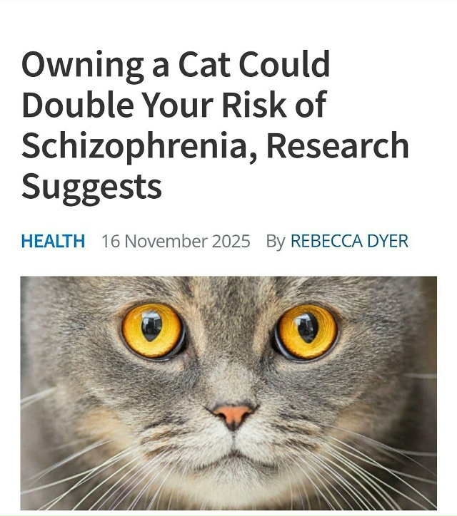 ☝ Кошатникам соболезнуем: пушистики могут вдвое увели...