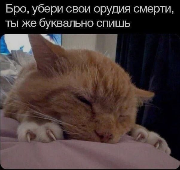 Ночная подборочка
Спать, режим