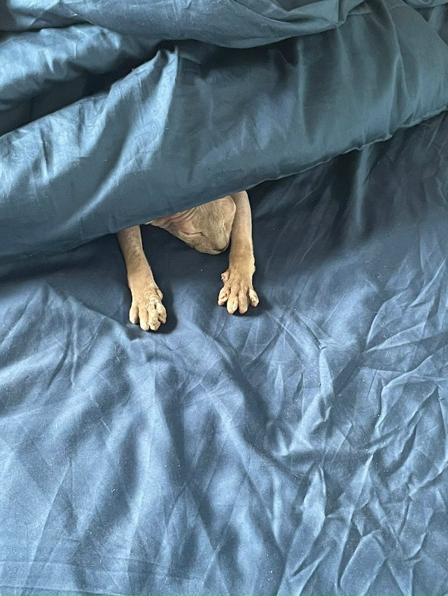 ???