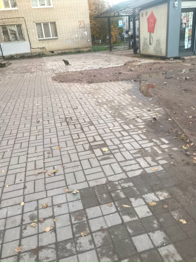 Вот малая часть наших «тротуаров»