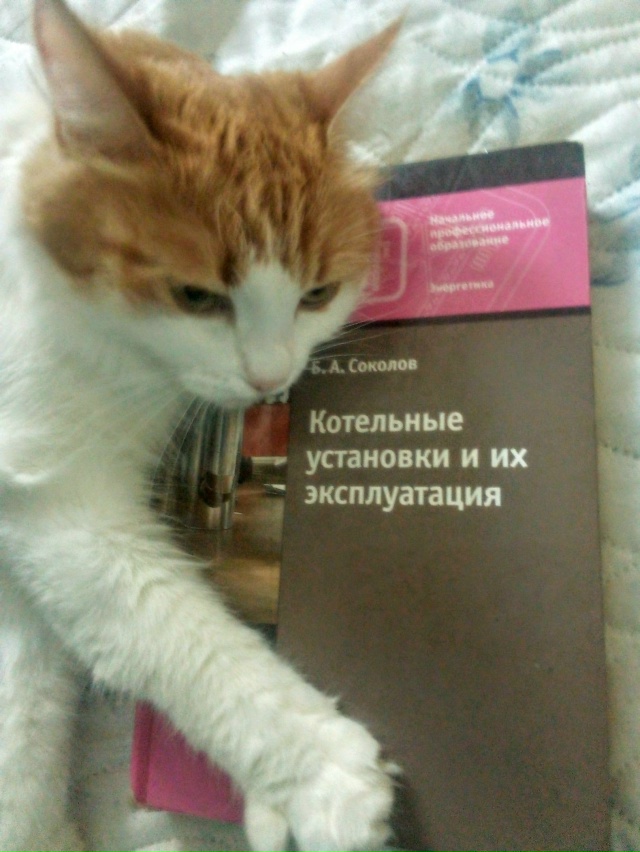Будущий оператор котельной)