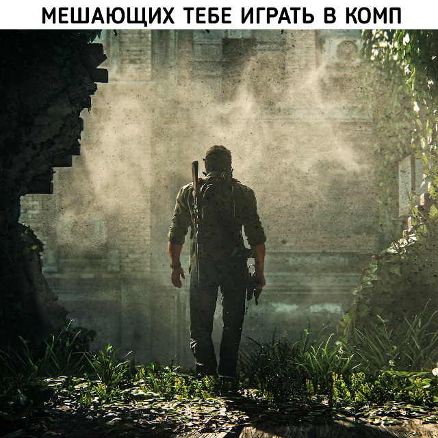 Это мирная жизнь