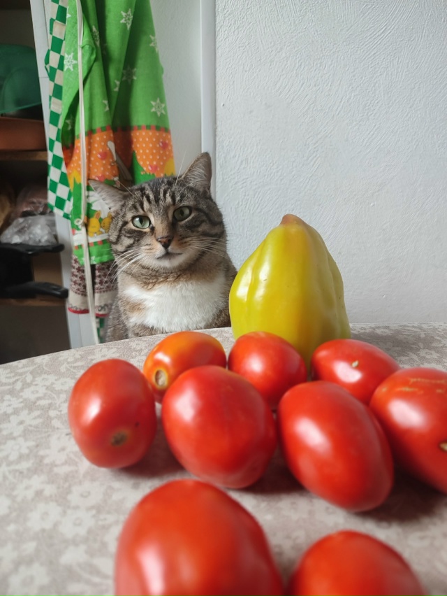 #Мотя и контроль качества продуктов