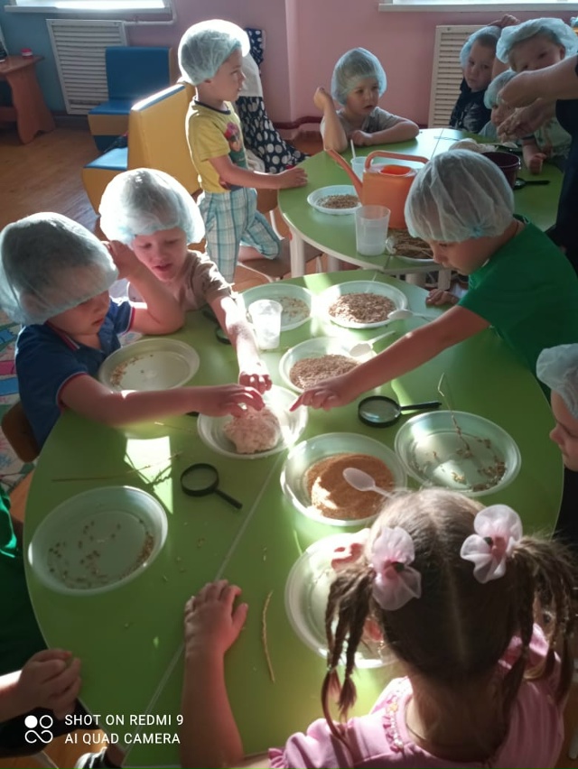 ?⭐️ Изучение профессии агронома в проекте 