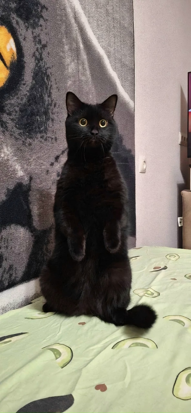 Пора в кровать. Вас ожидают😃