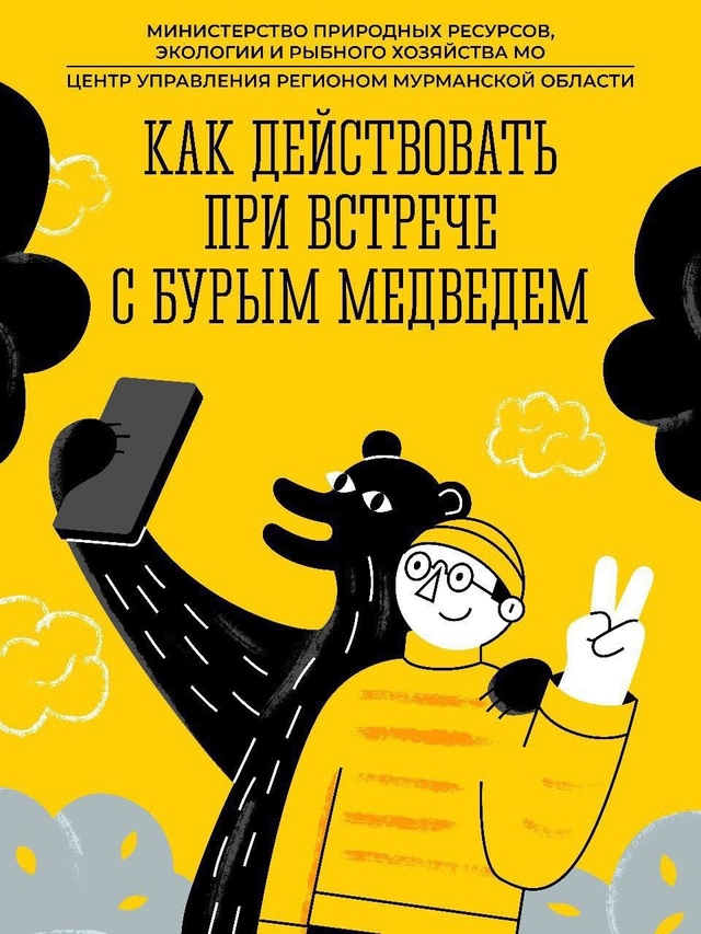 🐻Бурый медведь – крупный, опасный для человека хищни?...
