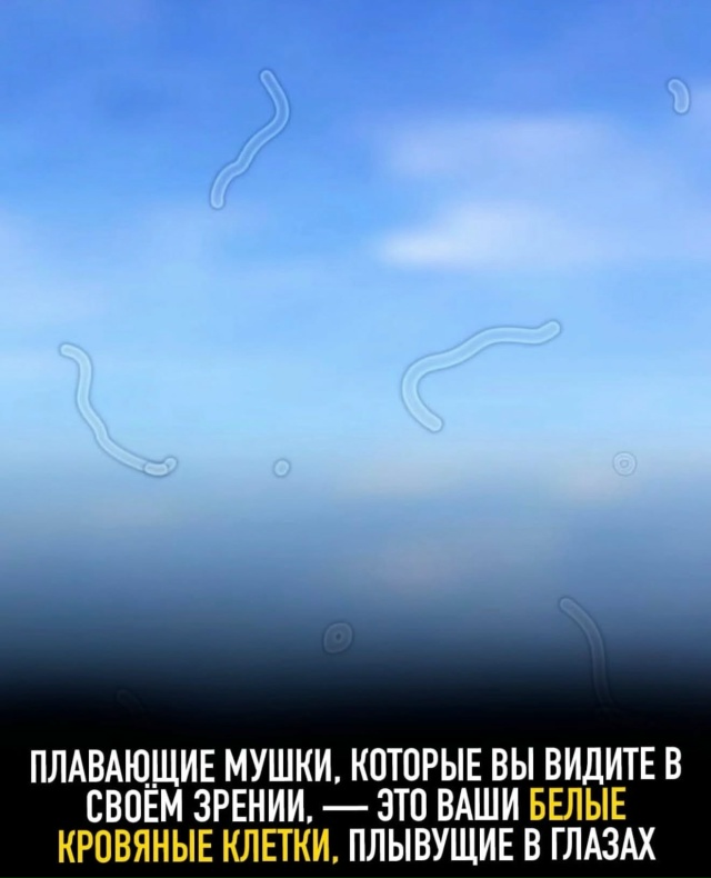 Подборка интересных фактов.