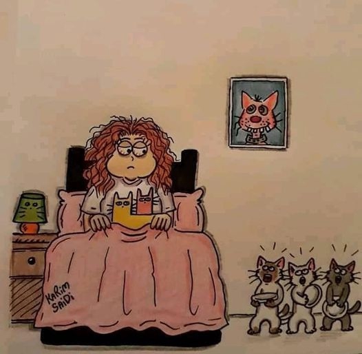 5 утра! Поймут только те у кого есть кошки)))