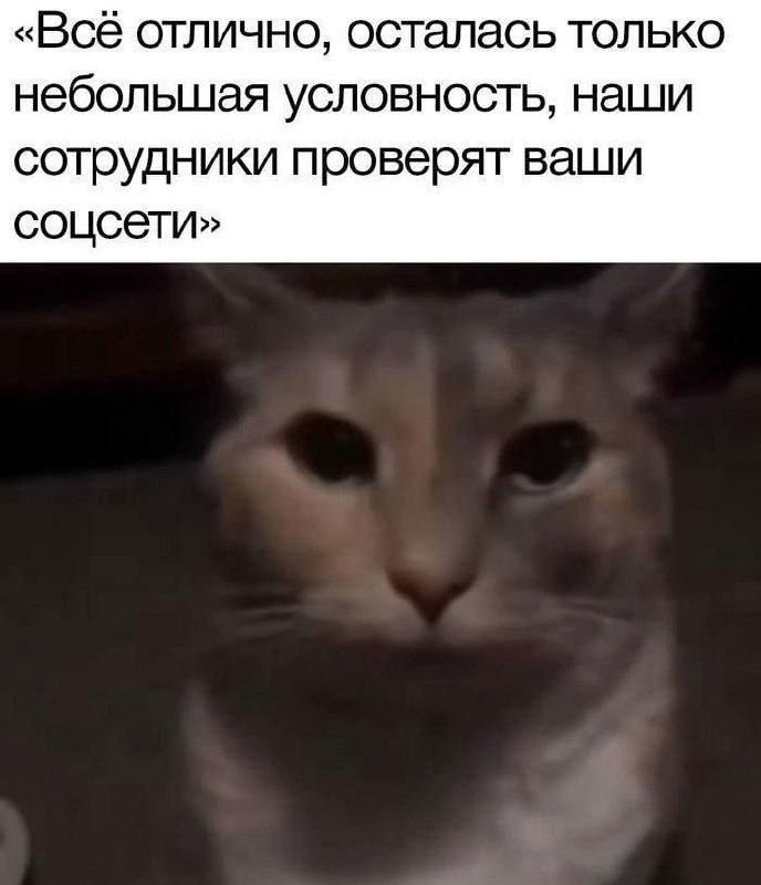 Утренняя подборочка