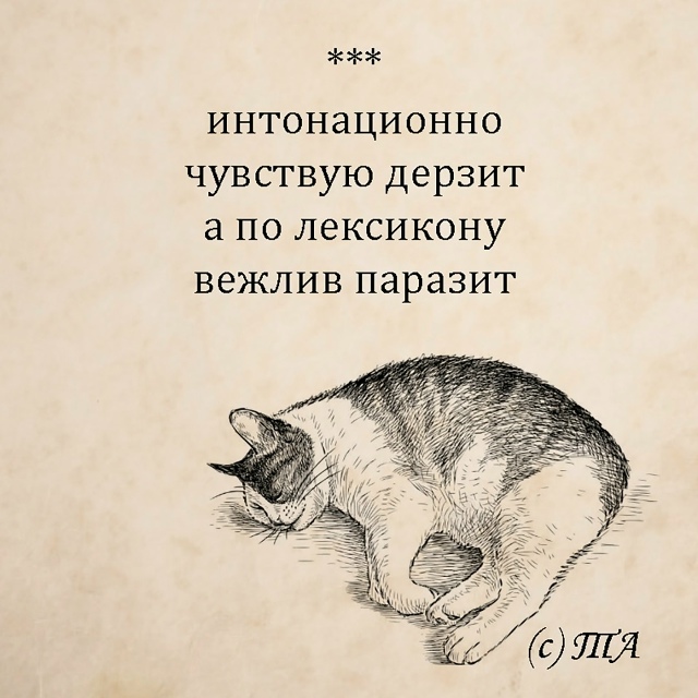 Хорошего настроения! 😄