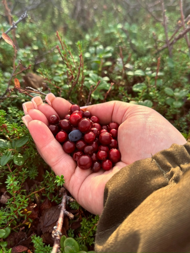Деревня Кия🍂
Фото: Шоинский сельсовет НАО/Валентина ?...