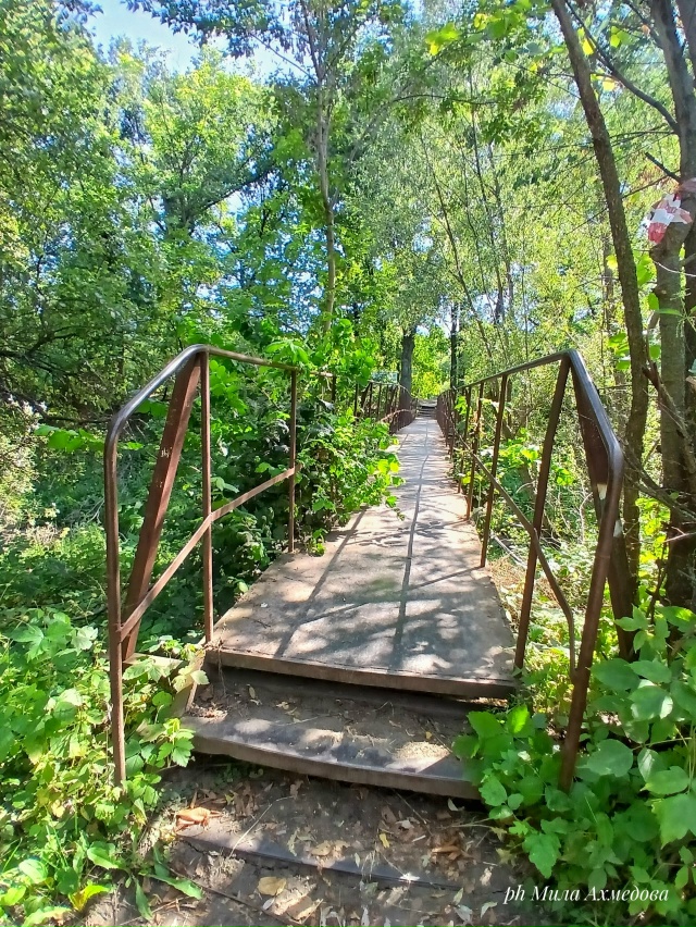 Оз. Шертово. Мастрюки. Самарская обл. 🏞