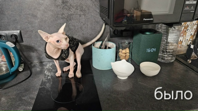 Просто приходил Серёжка, поиграли мы немножко... Я не зн...