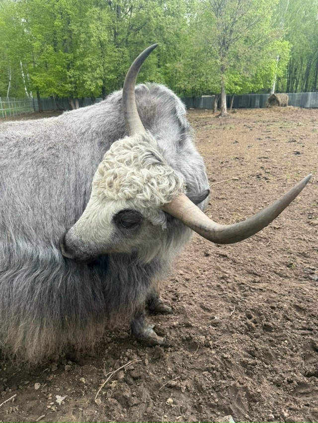 🌳 Выходные в