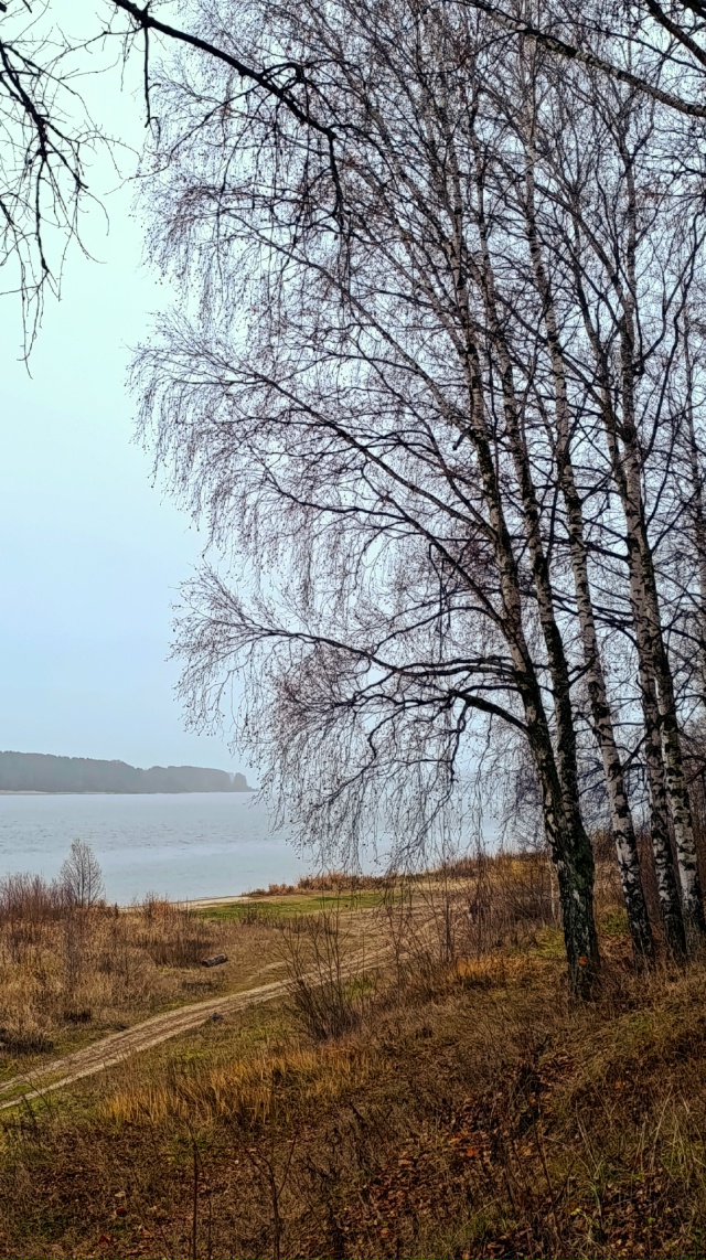 В пасмурной погоде свой кайф😊
Норское