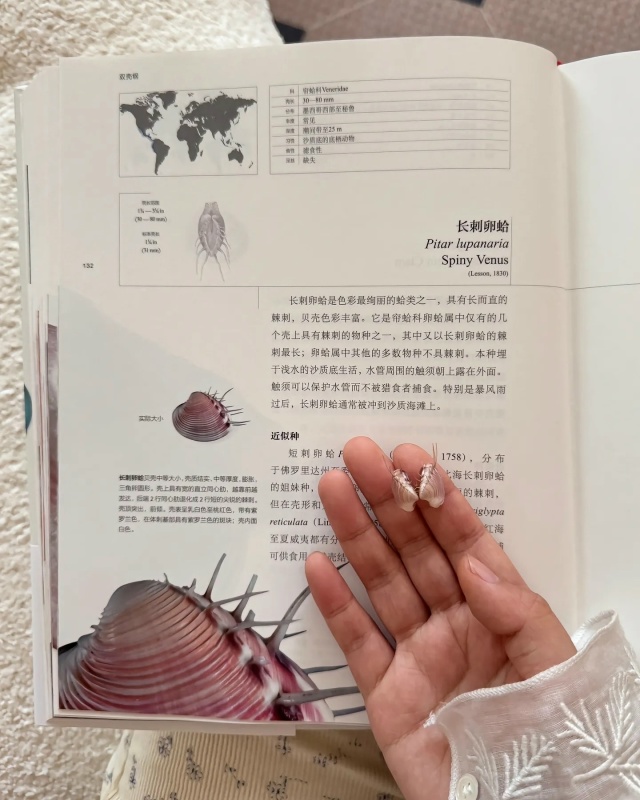 Потрясающая коллекция