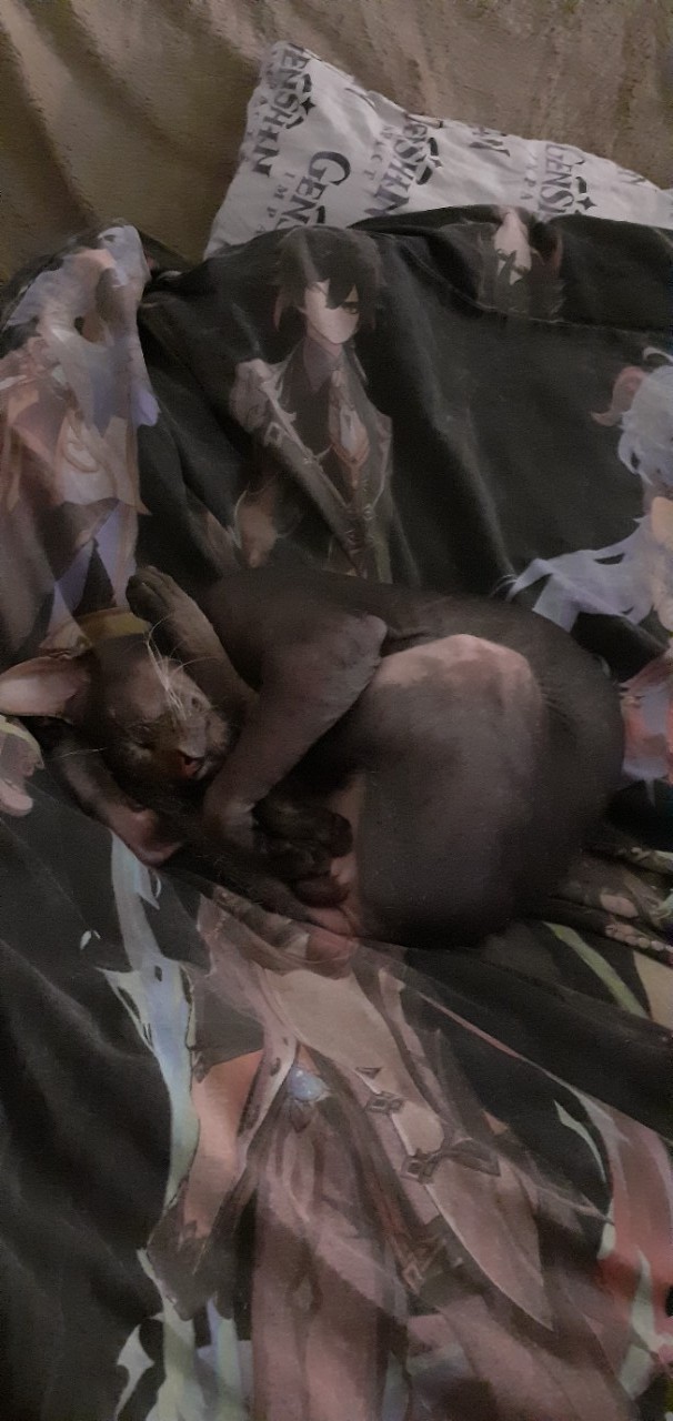 Уроки йоги от Саймона