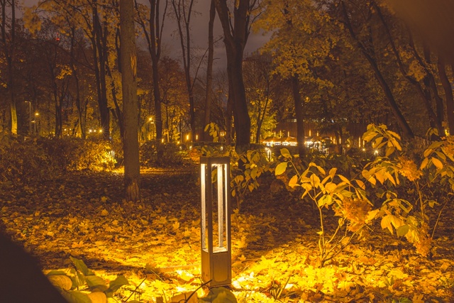 Вечерний, влажный и блестящий Воронеж🍂🌇