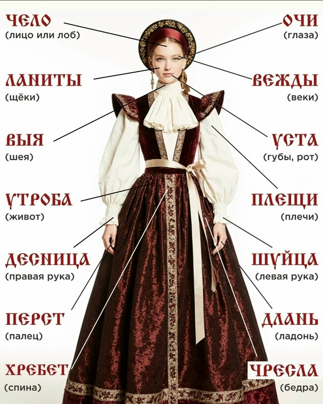 Полезно знать названия частей тела на старославянском...