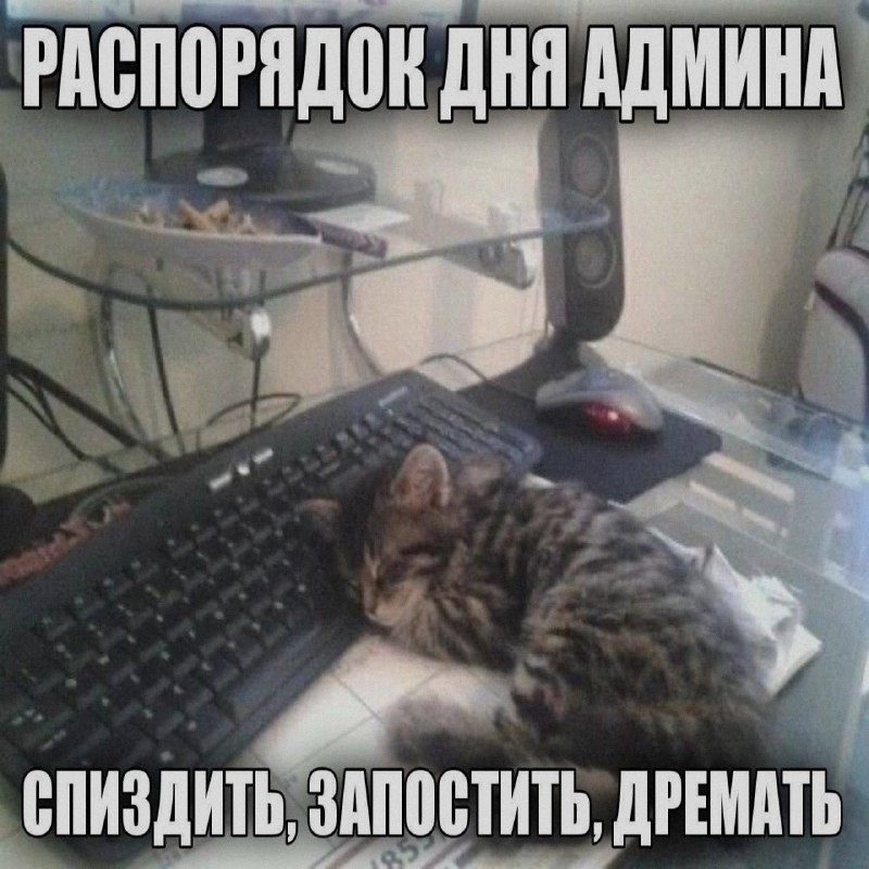 Ночная подборочка
Спать, режим