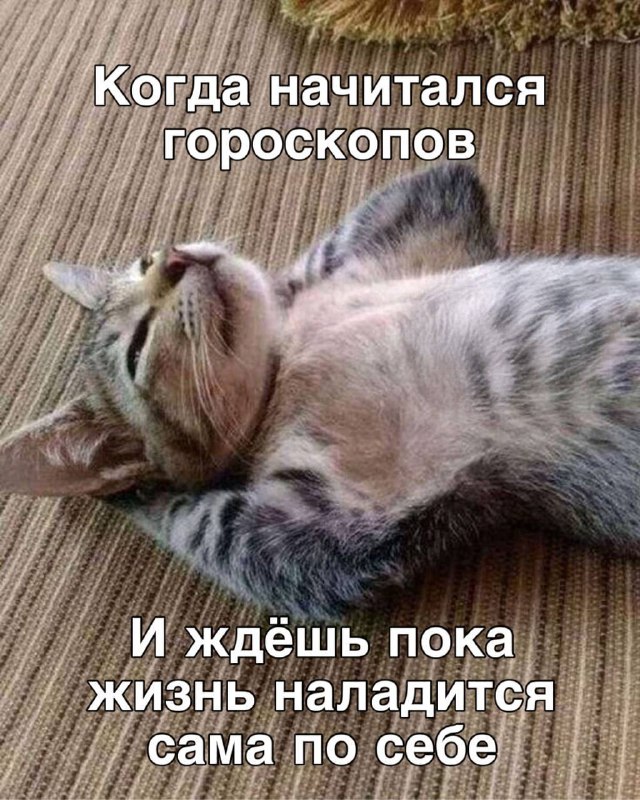 Большие перемены в жизни ожидают Овнов, Близнецов, Тельцов, Раков, Львов и Дев
Овнам — семейные рад