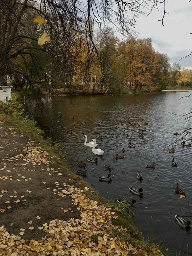 ️Доброе утро! Прогноз погоды на 18 ноября В Оренбурге ?...