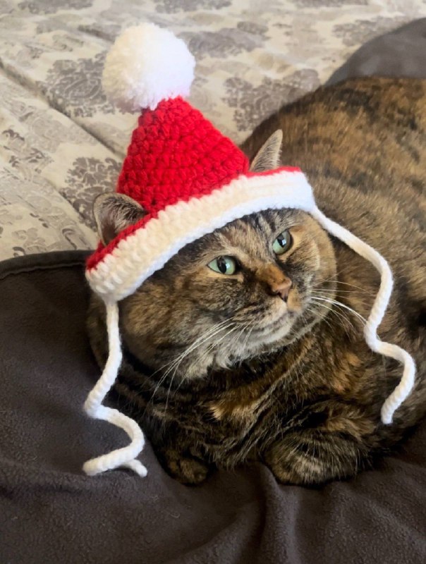 Када бабушка связала тебе шапку (с бумпоном)