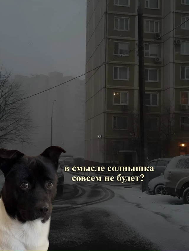 Чисто я:
