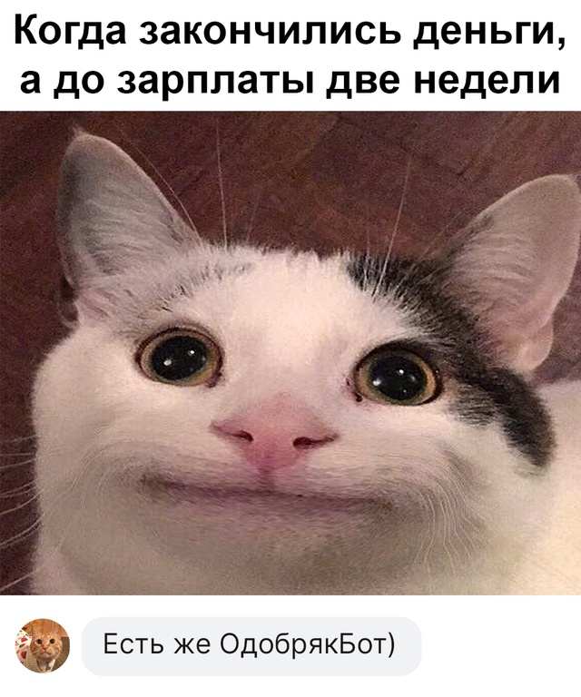 Тот самый бот - vk.me/odobryak_bot