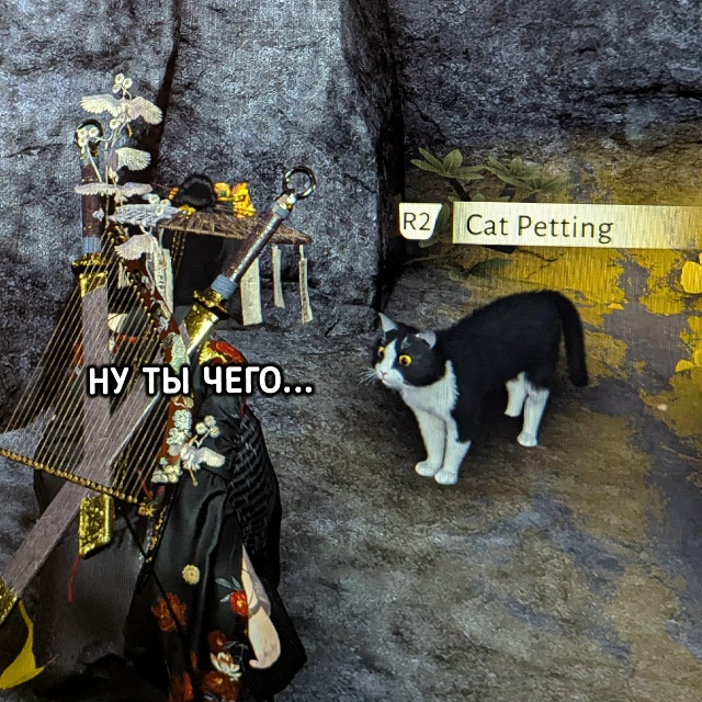 Котики в Where Winds Meet ведут себя максимально реалистично
...