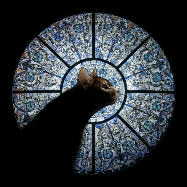 Ладно, это красиво