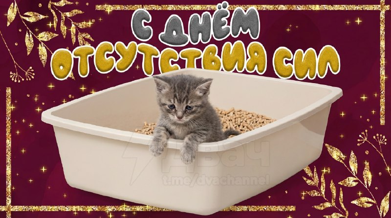Сегодня отмечается День отсутствия сил