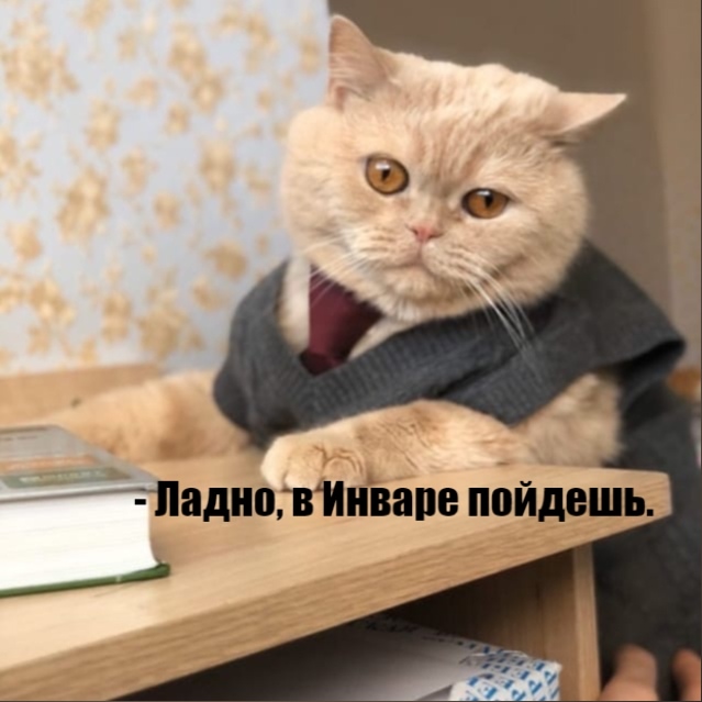 =»»